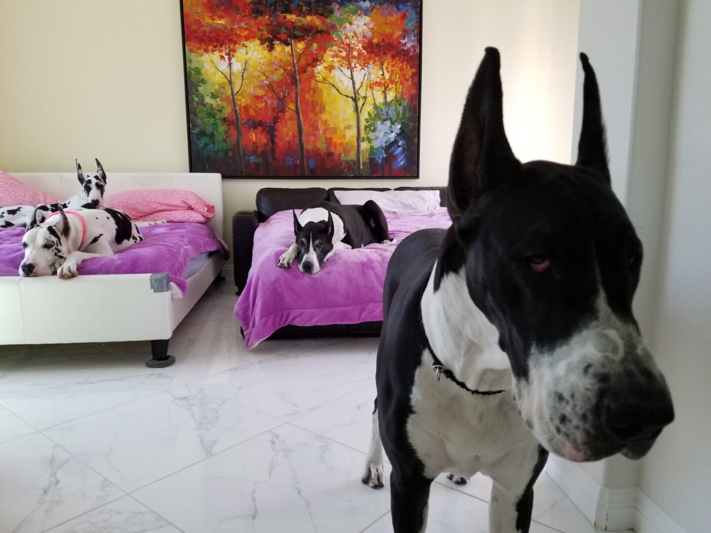 Two dogs sitting on a bed in front of a painting.