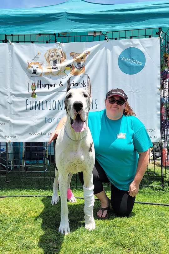 Cancer and Nutrition - Paw Crusaders