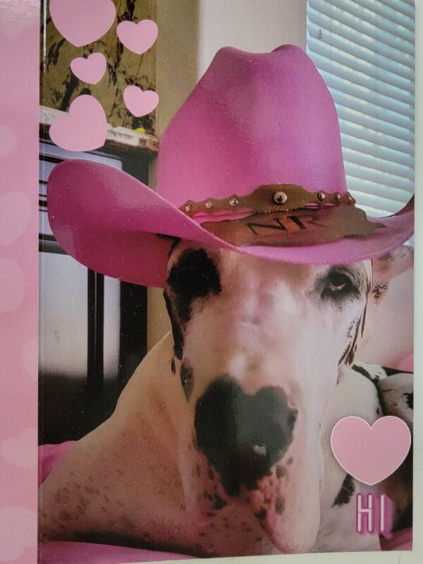 A dog wearing a pink cowboy hat with hearts around it.