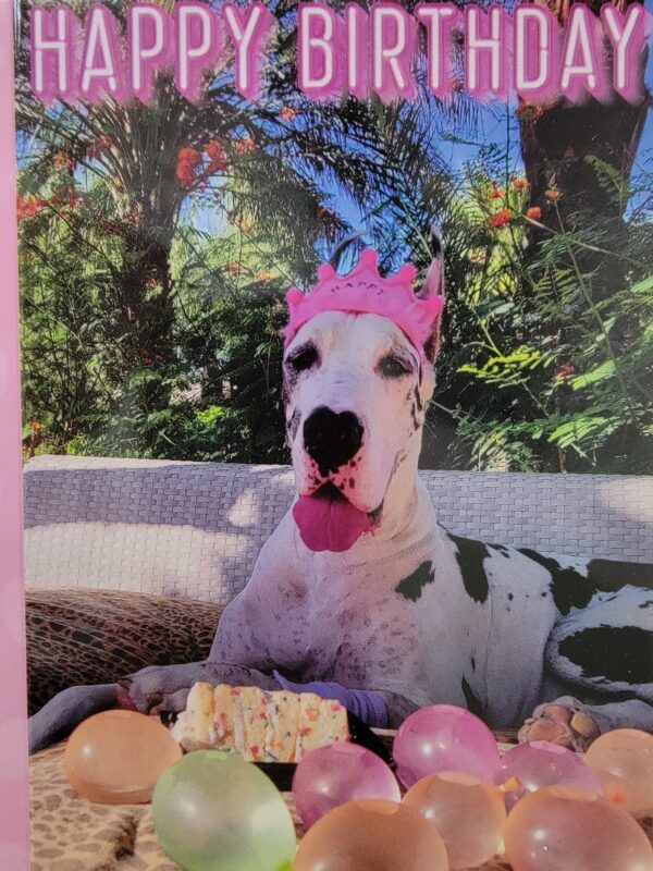 A dog wearing a pink crown sitting in front of some fruit.