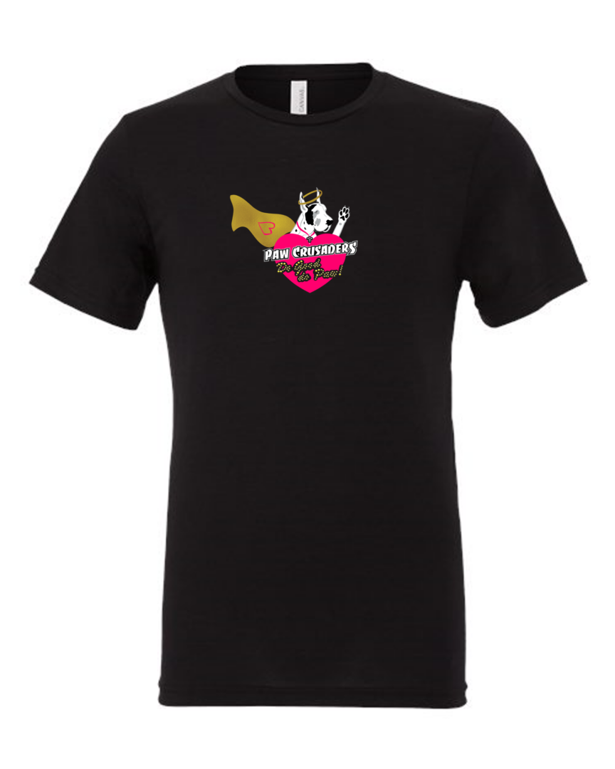 A black t-shirt with the logo of the pirate ship.